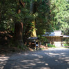 赤城神社　