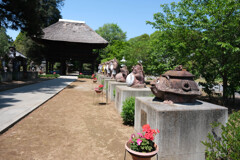 狸のお寺　　（茂林寺）