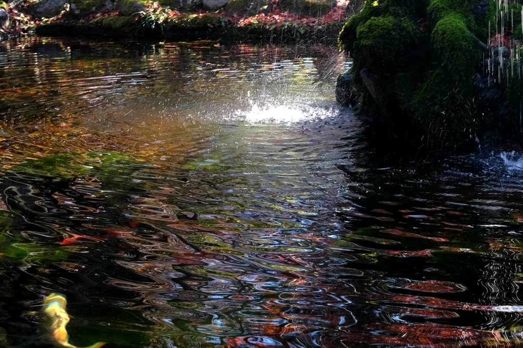 水辺模様