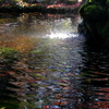 水辺模様