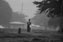 霧の朝　