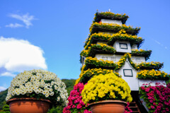 菊の城
