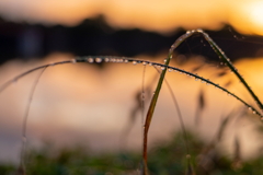 雨上がり