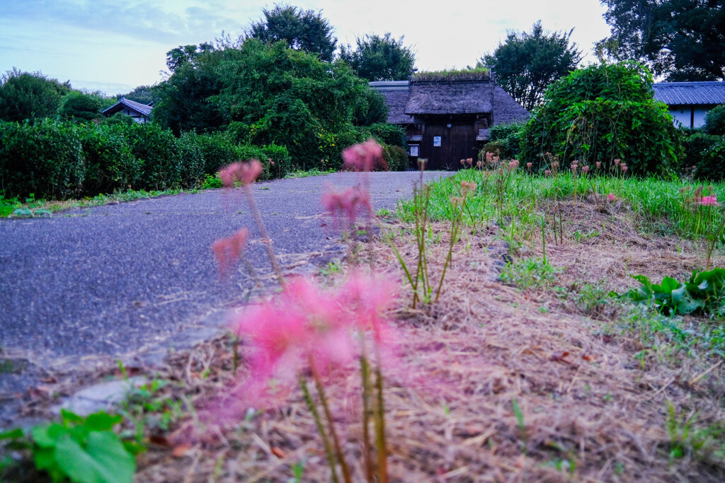 坂の上の古民家