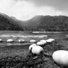 強風の湯ノ湖