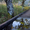 榛名高原ゆうすげの路