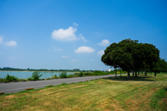 渡良瀬遊水地