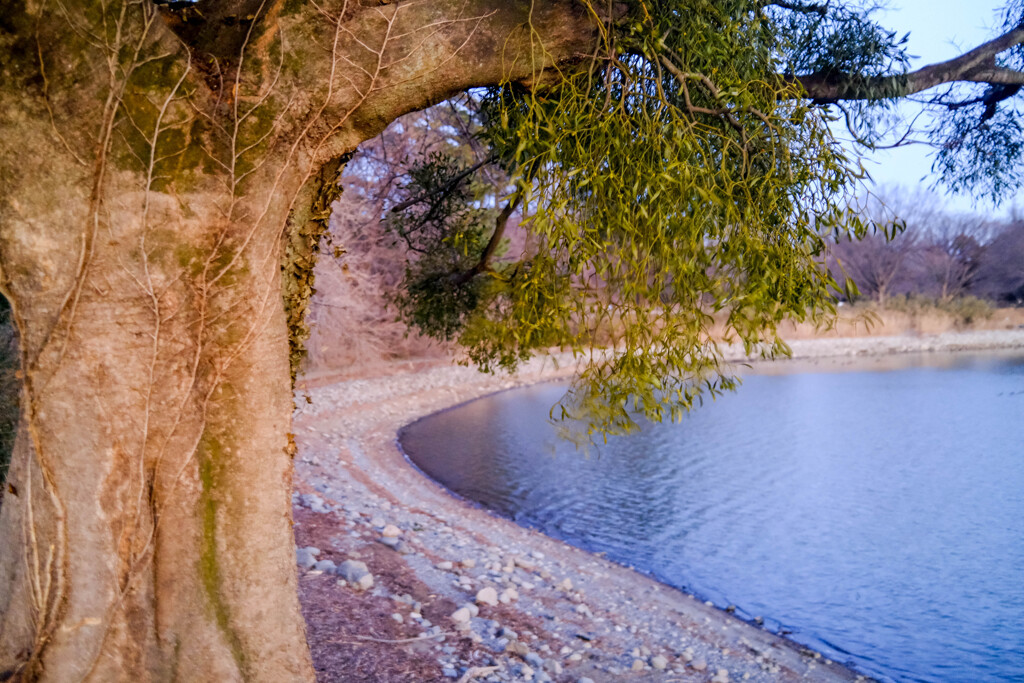大室公園