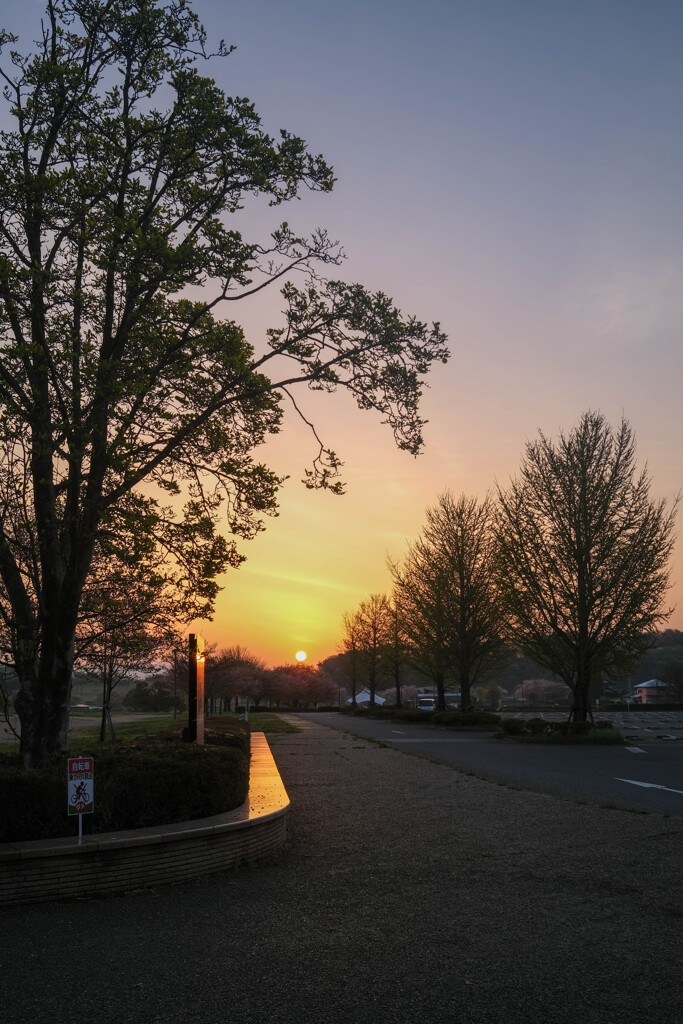 朝の公園