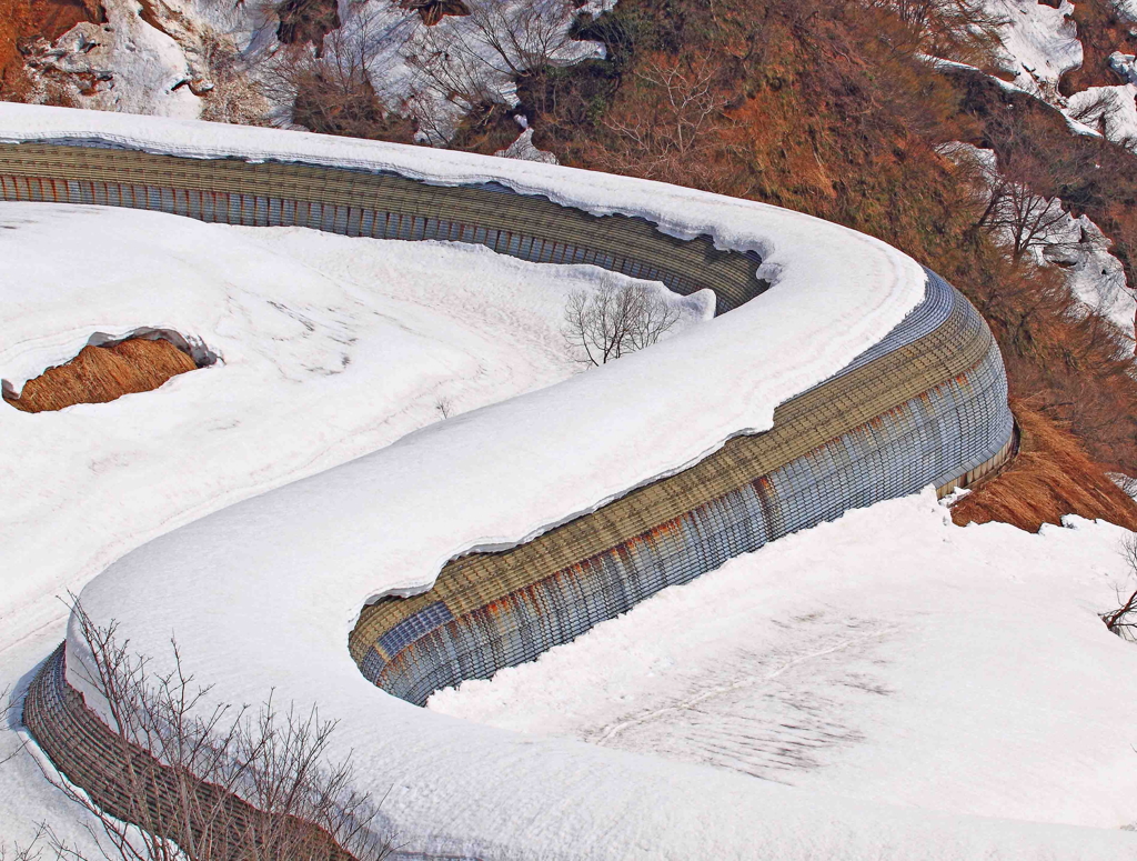 巨大生物　？？