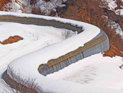 巨大生物　？？