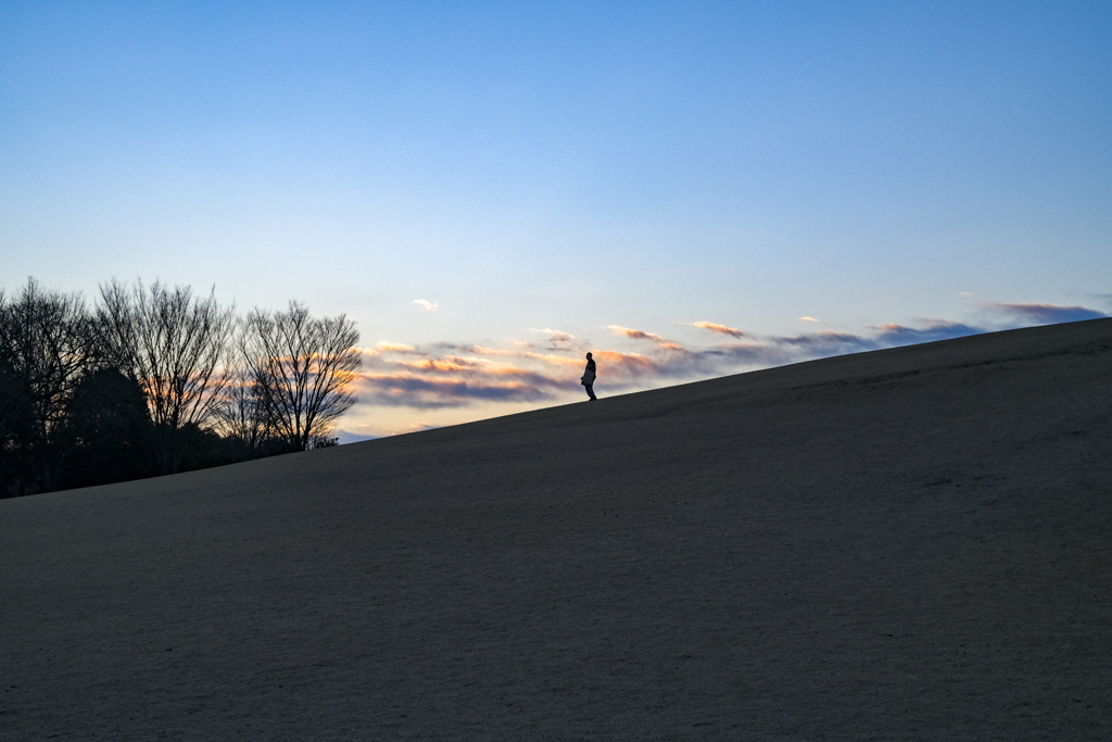 市民の森公園、