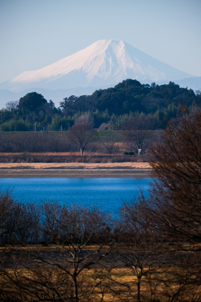 渡良瀬遊水地（谷中湖）