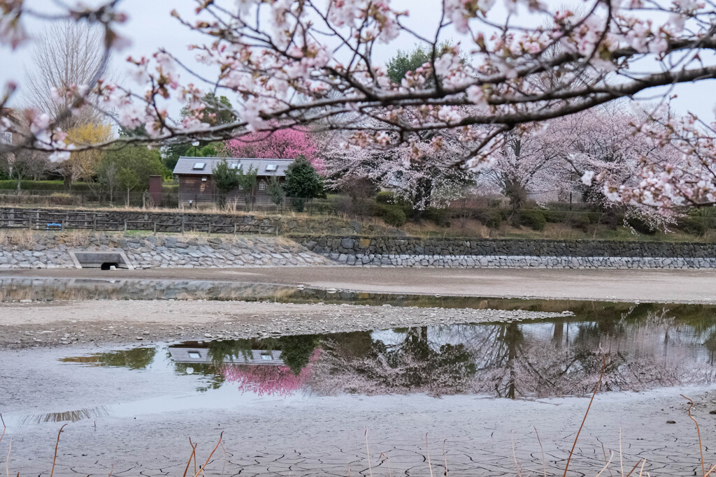 湖畔散歩
