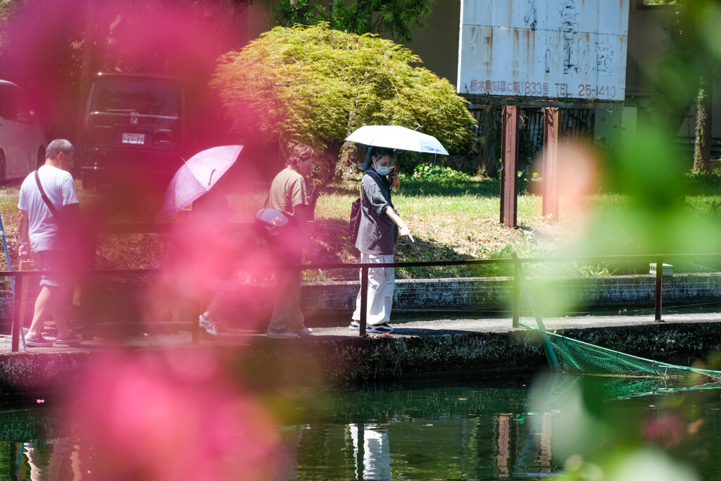 湧水池（栃木県）