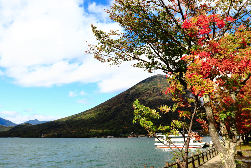 湖畔の彩、