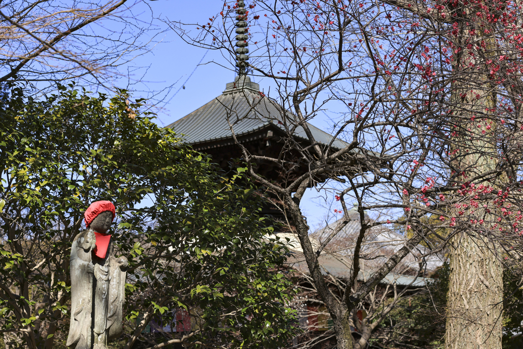 鑁阿寺1