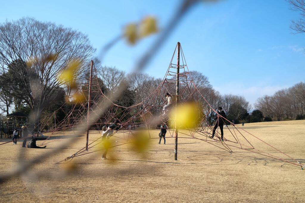 城址公園