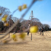城址公園