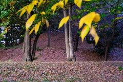 大室古墳公園