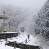 渡良瀬渓谷鉄道-中野駅