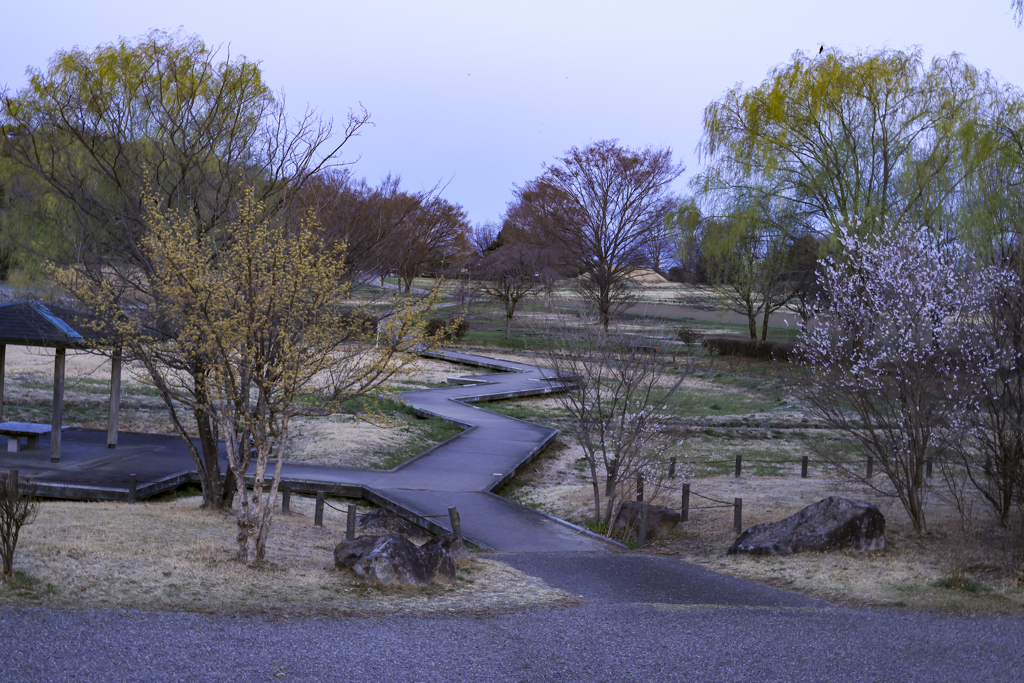 大室公園夜明けの彩、