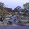 大室公園夜明けの彩、