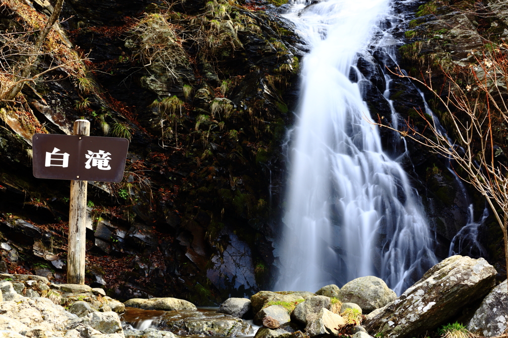 足　跡　（もみじライン）