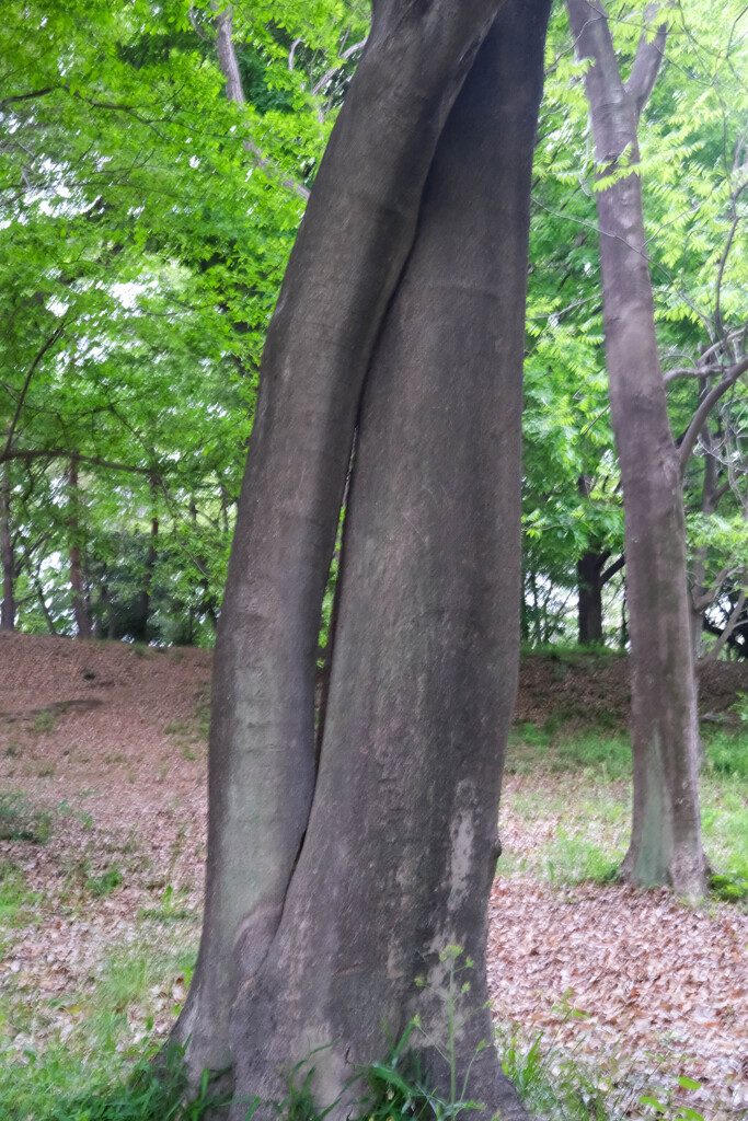 寄り添いながら