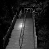 夜明け前　通称達磨寺