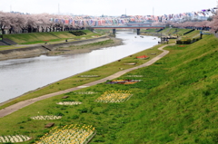 足　跡　釈迦堂の春、