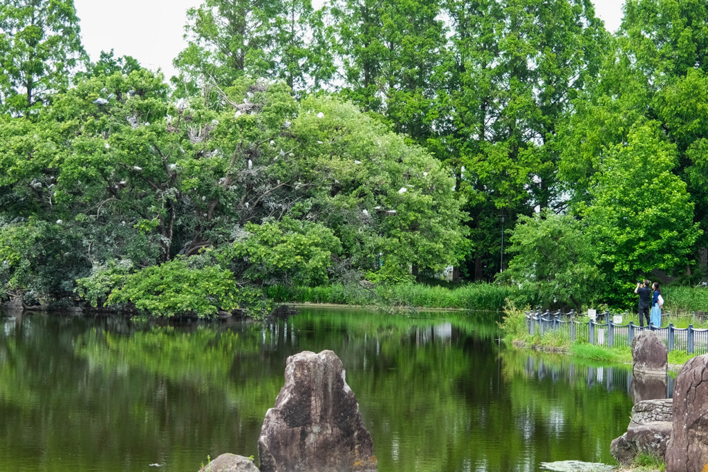 庄和総合公園