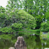 庄和総合公園