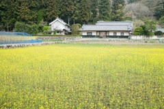 栃木路の旅（長屋門）