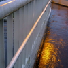 雨の散歩道-