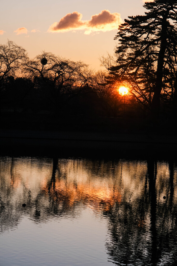 古墳公園 
