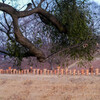古墳公園