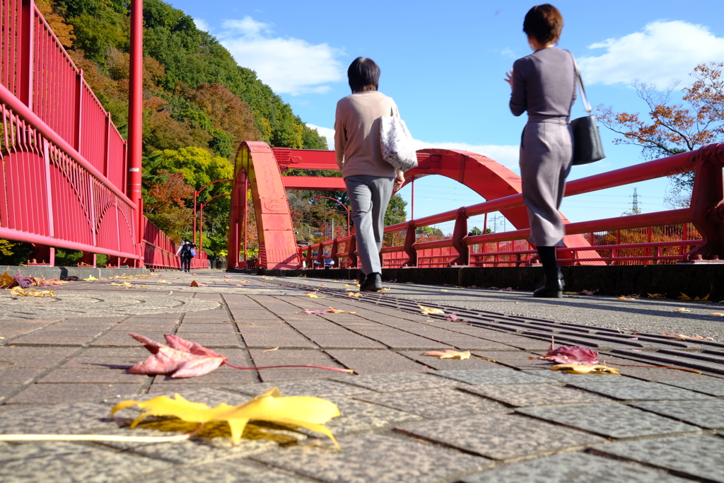 北風に吹かれて