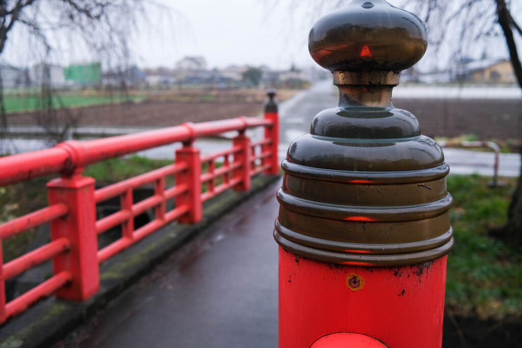 雨の散歩道