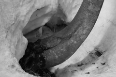 春のおとずれ、