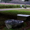 公園散歩、