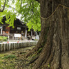 栃木路の旅　足利