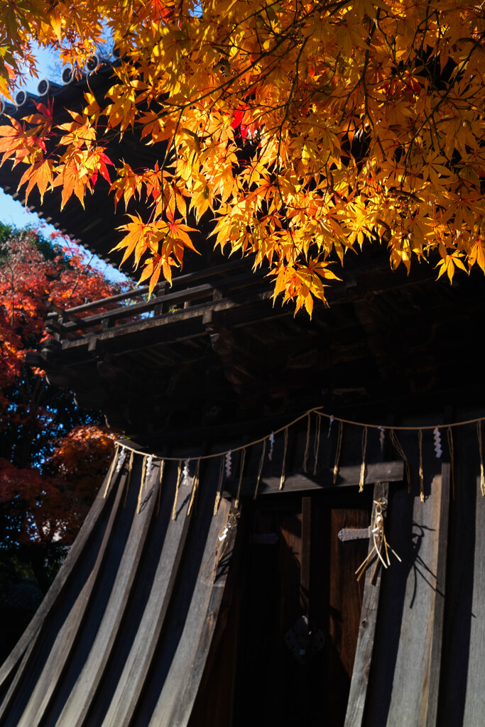 鑁阿寺　（鐘突き堂）