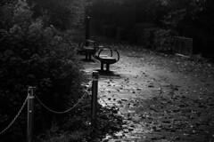 雨の朝