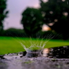 雨宿り