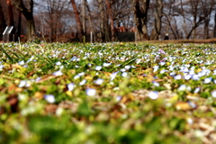 古墳王国　群馬大室公園