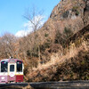一人旅（渡良瀬渓谷鉄道）
