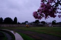 雨の散歩道