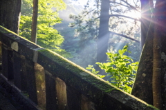 朝の境内