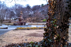 公園散歩